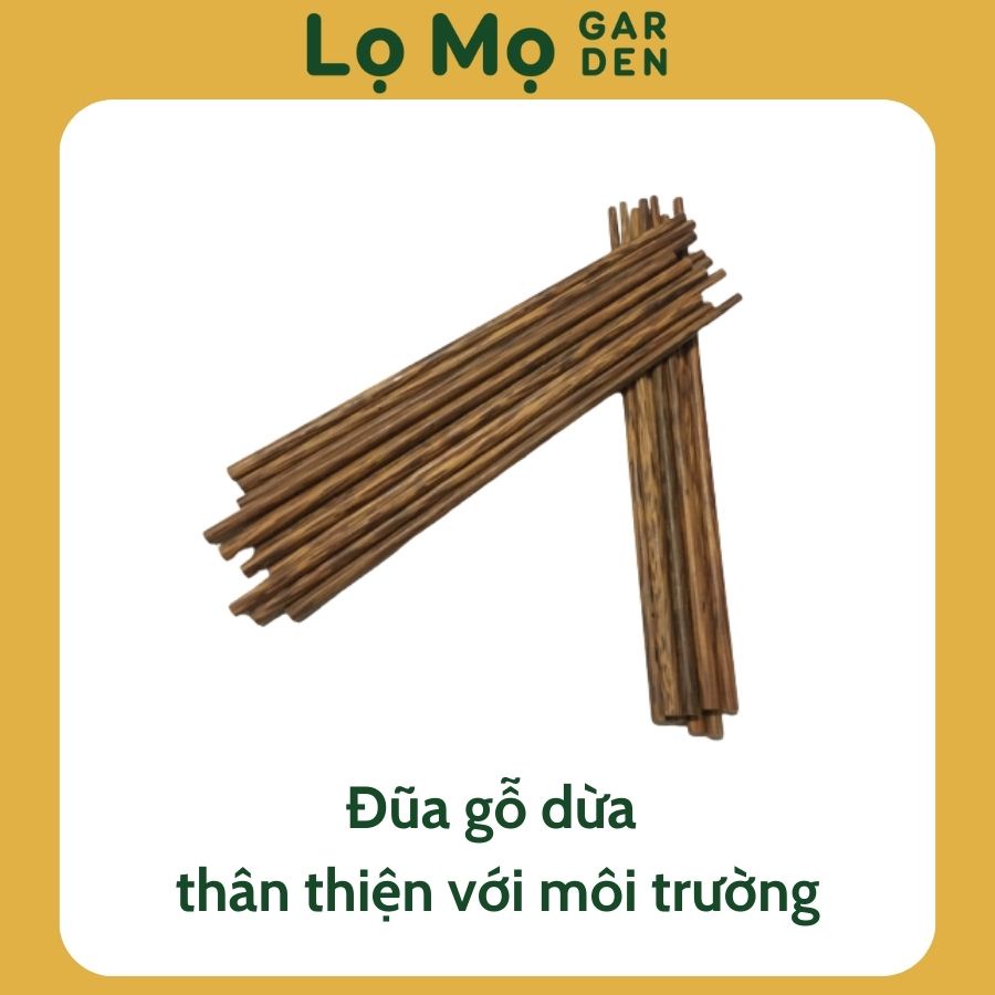 10 Đôi Đũa Gỗ Dừa - GreenLife - Không Ẩm Mốc_An Toàn
