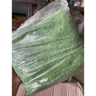 cỏ bột cỏ sợi trang trí