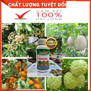 NẤM TRICHODERMA KHẮC TINH VÀNG LÁ THỐI RỄ