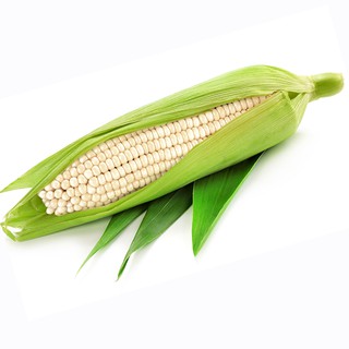 20 GR - HẠT GIỐNG BẮP NẾP NÙ