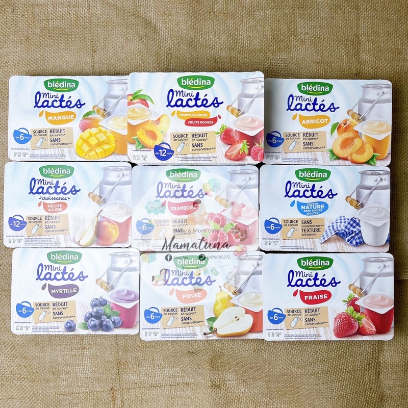 Sữa chua nguội Bledina Mini lactes Pháp vỉ 6 hộp x60g Hàng Air Date mới