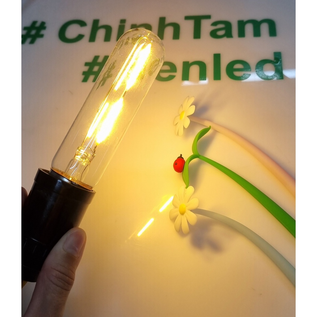 Bóng đèn led Edison T125 2W 220Vac