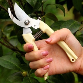 Kéo cắt cành, kéo cắt tỉa cây cảnh với lưỡi cắt siêu bén