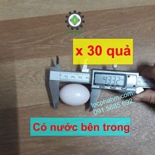 30 trứng giả, trứng mồi cho gà tre đẻ 30trg-h