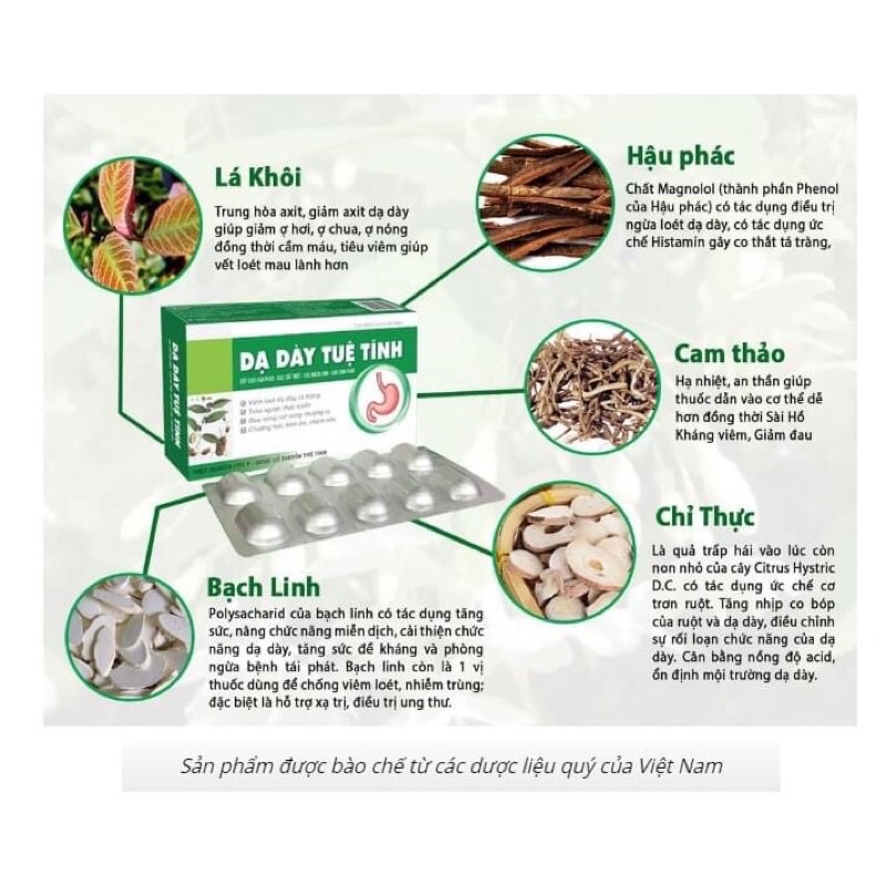 Dạ Dày Tuệ Tính - Hộp 30 viên chính hãng