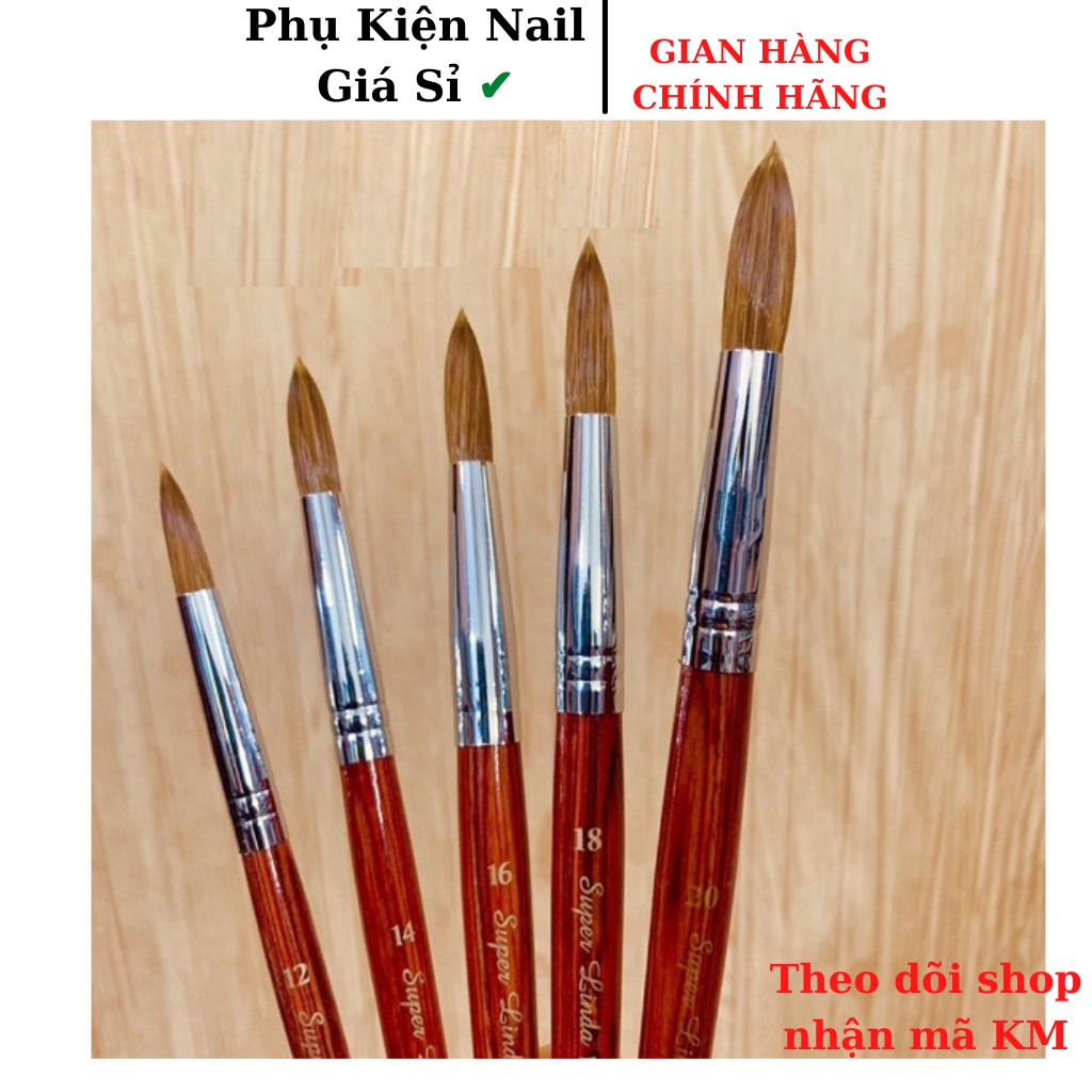 Cọ đắp bột nail chuẩn Mỹ .