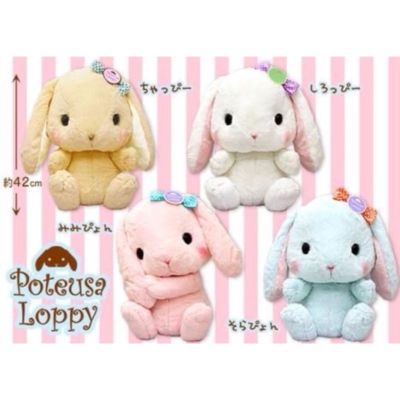 Pote Usa Loppy Amuse 40 cm ( TOREBA )