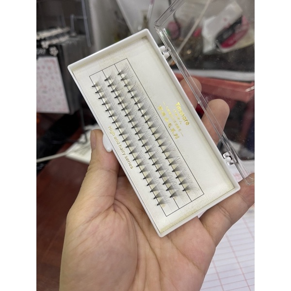 Mi chùm ,mi fan lên mắt đẹp