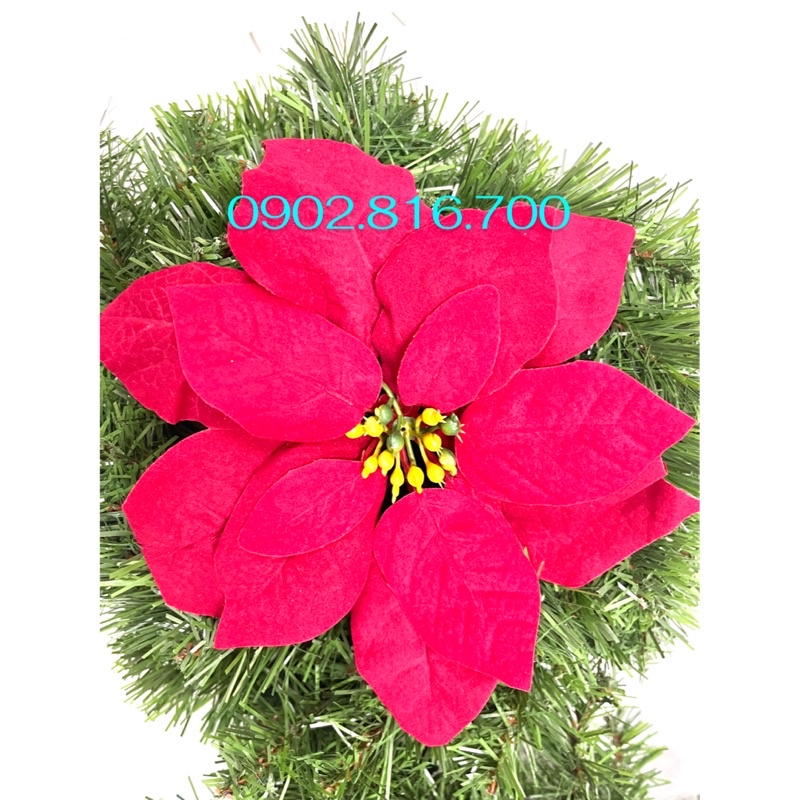 Sét 3 hoa trạng nguyên đỏ 23cm trang trí cây thông noel giáng sinh