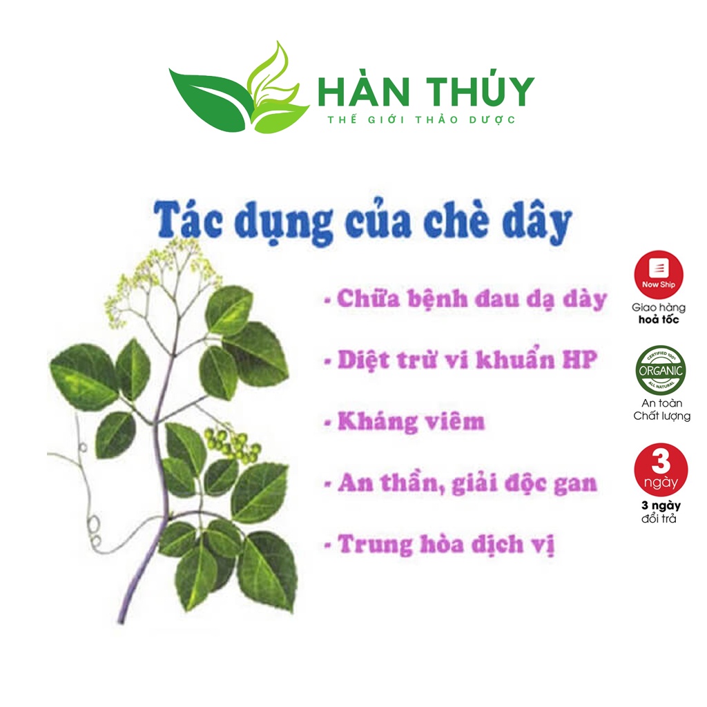 Chè Dây Rừng CHEDAY043 Trà Dây Loại 1 Nhiều Tuyết HÀN THÚY Hỗ Trợ Dạ Dày Trào Ngược Thực Quản, Vi Khuẩn HP, Dạ Dày 500gr | BigBuy360 - bigbuy360.vn