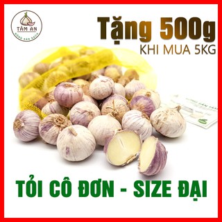 1kg tỏi cô đơn loại size ĐẠI, tặng 500g tỏi cùng loại khi mua 5kg.