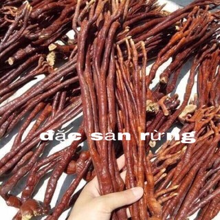 Nấm Linh chi Sừng Hươu - đặc sản rừng 500g - 1kg