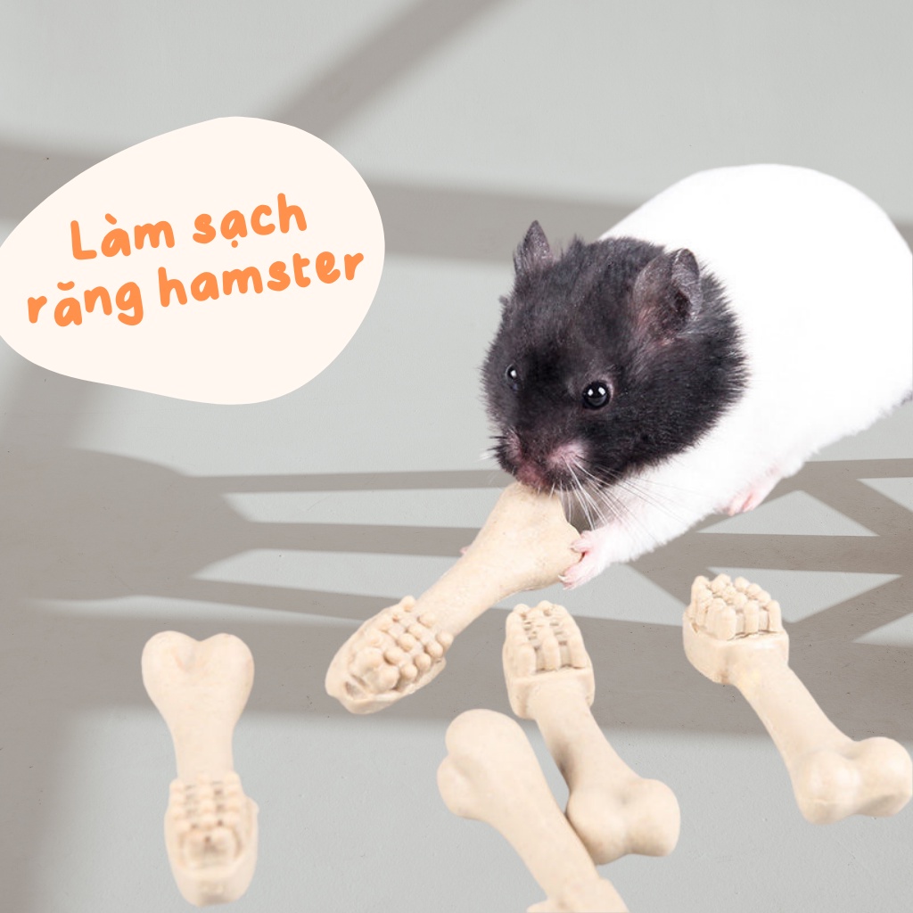 Mài răng hamster chiết lẻ 1c JONSANTY vị thit bò thơm ngon
