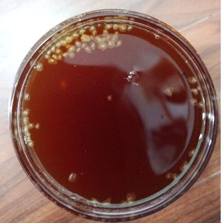 Nấm water kefir/tibicos (10gr nấm, có kèm nước mồi, tặng 5gr muối hồng, 5gr baking soda)