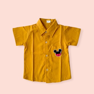 Áo Sơ Mi Tay Ngắn Vải Cotton Thời Trang Cao Cấp Dành Cho Bé