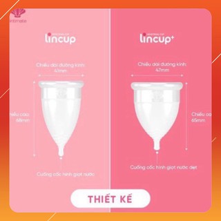 Cốc nguyệt san Lincup