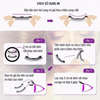 Mi giả nam châm