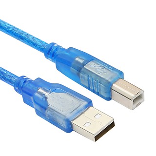 Transparent Blue 30cm USB 2.0 Printer Cable Dual Shielding