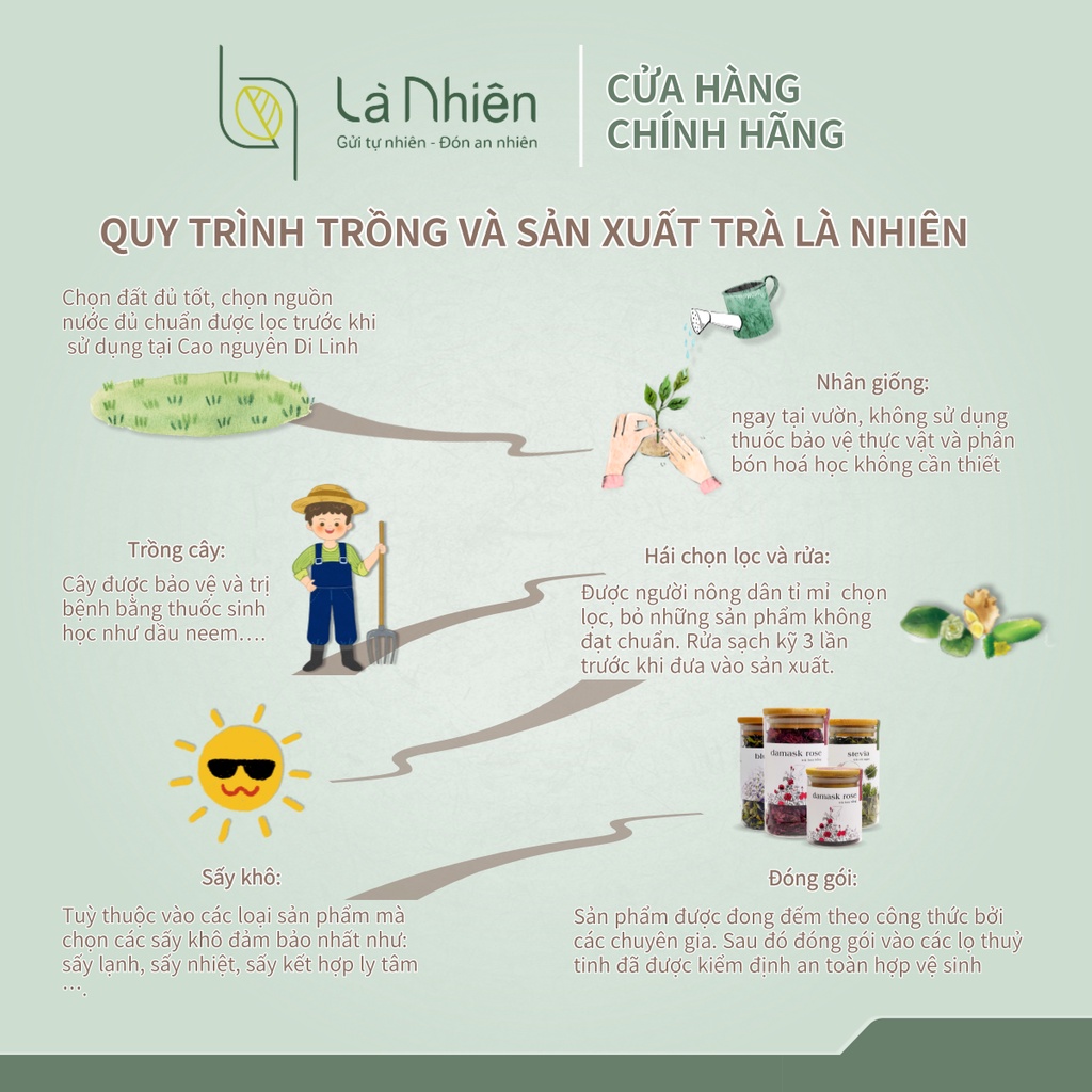 Trà Cỏ Ngọt Thảo Mộc Là Nhiên.