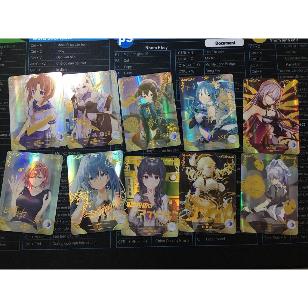 (Rain15) Thẻ bài sưu tầm Waifu đồng giá