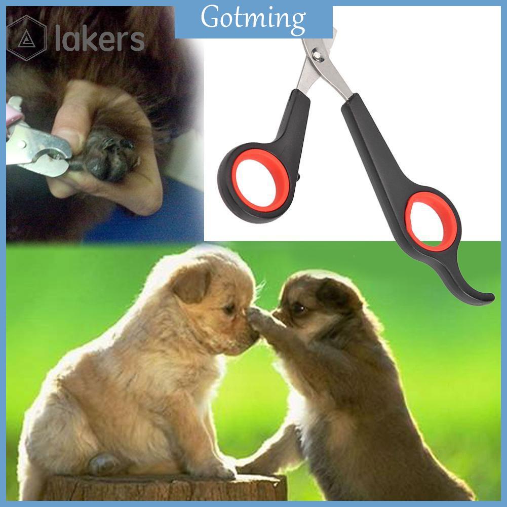 Bộ Dụng Cụ Cắt Móng Cho Thú Cưng