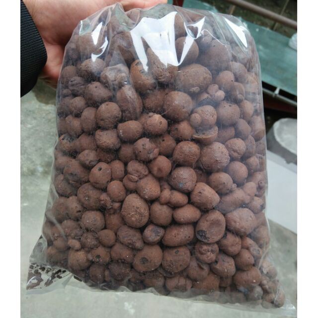 1kg Sỏi Nhẹ Trồng Lan, Rau Sạch hàng đẹp, phân phối chuyên nghiệp.