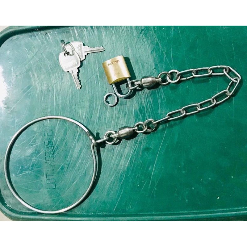 Xích chân và ổ khoá chuyên dụng cho vẹt Macaw và cockatoo