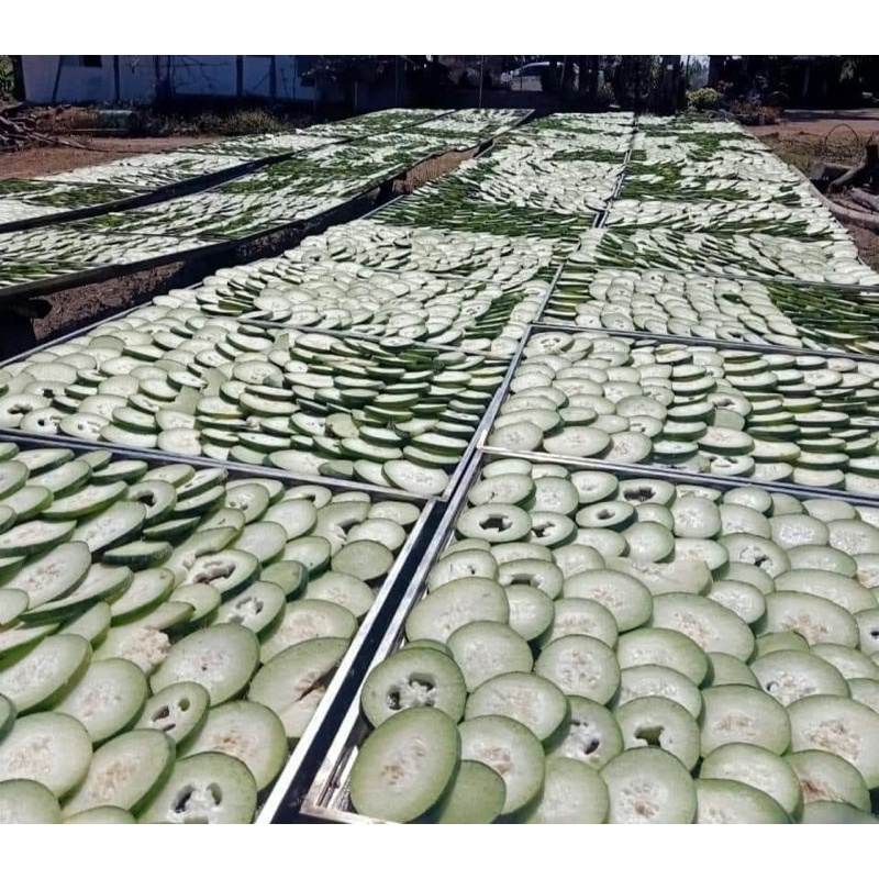 Trà bí đao sấy khô hàng xanh đẹp vip 1 kg