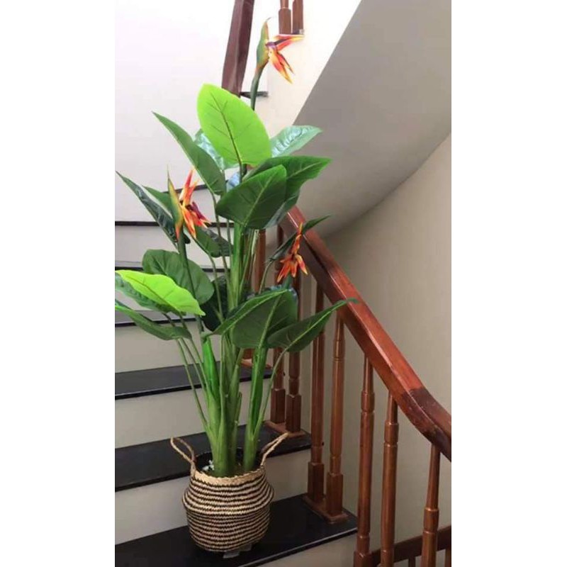 Cây thiên điểu cao 1m5 siêu đẹp - Cây cảnh giả trang trí nhà cửa- Tặng kèm chậu
