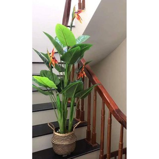 Cây thiên điểu cao 1m5 siêu đẹp - Cây cảnh giả trang trí nhà cửa- Tặng kèm chậu