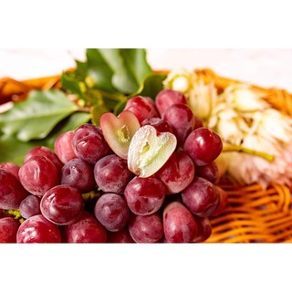 CÂY GIỐNG NHO TRÁI TIM