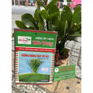 Hạt giống Măng Tây bổ dưỡng, dễ trồng gói 0.5gr