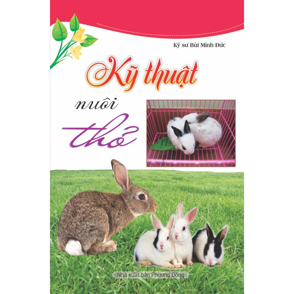 Sách - Kỹ thuật nuôi Thỏ
