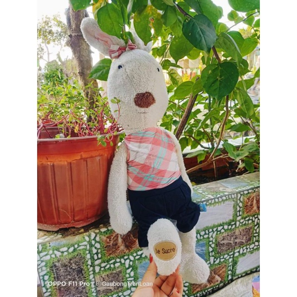 Gấu bông thỏ quý tộc size 60cm
