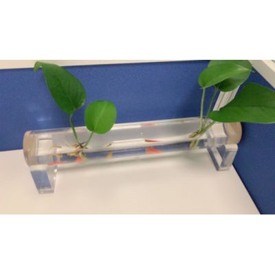 Bể tép cá acrylic hình dạng ống tròn dài 50cm