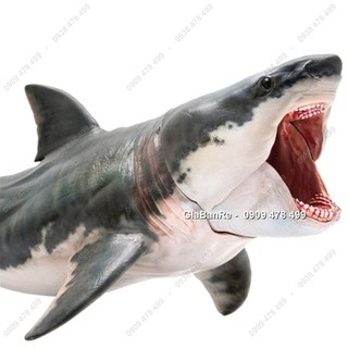 Mô Hình Cá Mập Khổng Lồ Megalodon - 7763.1