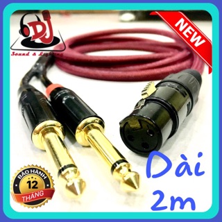 Jack canon cái chia 2 đầu 6.5 ly dây chia canon ra 6 ly dài 2m