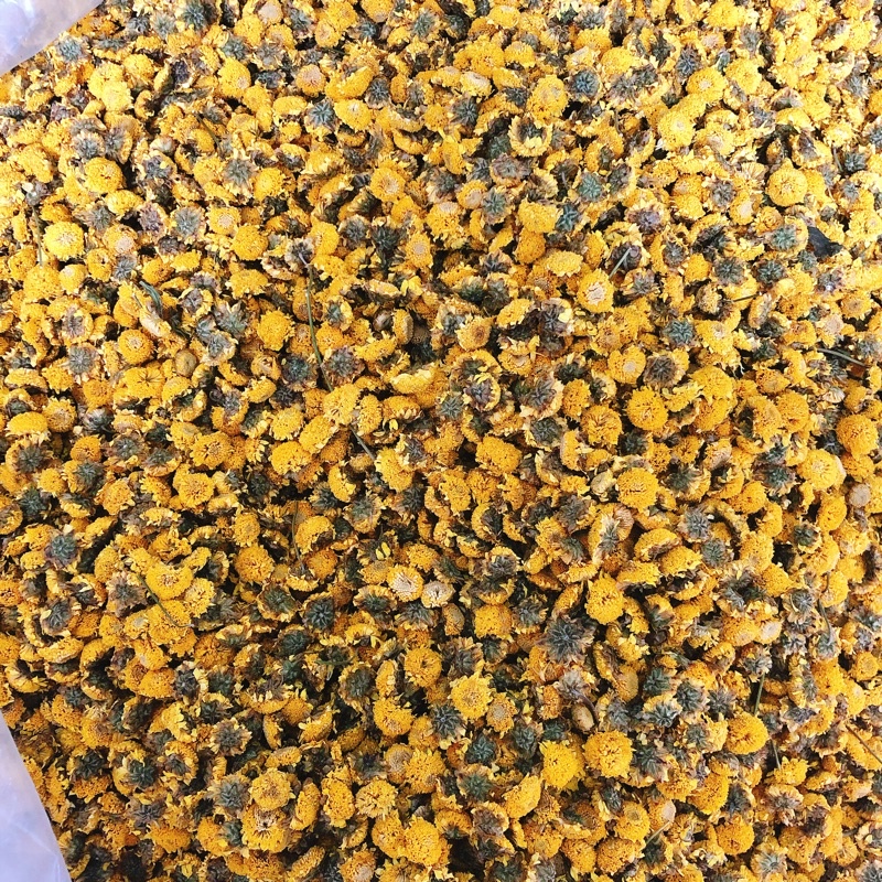 Sỉ 1kg trà hoa cúc tiến vua ( cúc chi) Hưng Yên