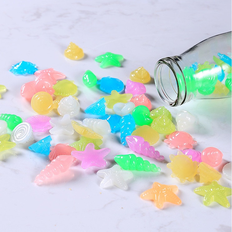Sò ốc dạ quang trang trí nhiều màu khác nhau