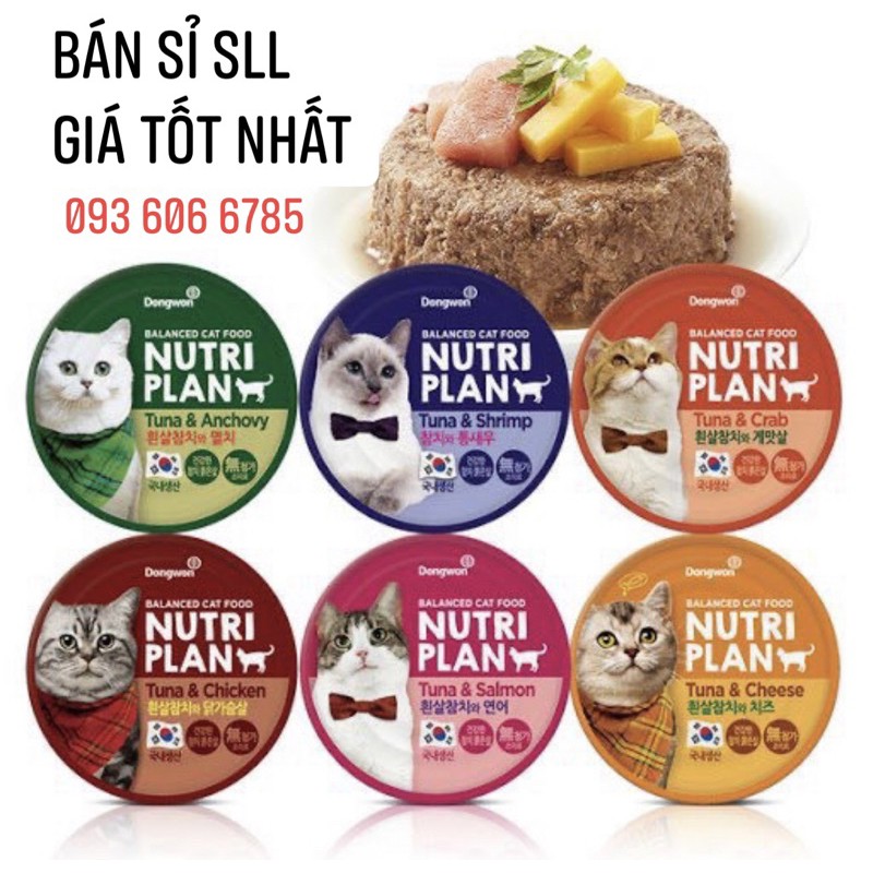 Pate Nutri Plan - Date 2024