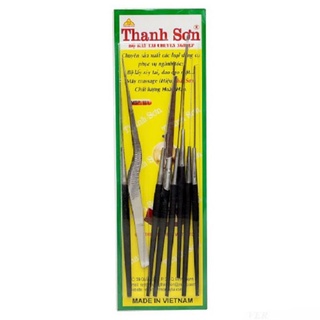 BỘ RÁY TAI THANH SƠN(8 MÓN)