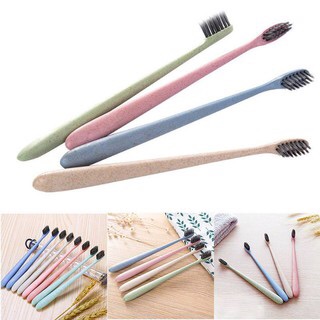 Hộp 4 bàn chải đánh răng Muji