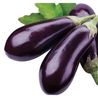 0,5g Hạt Giống Cà Tím Dài (Solanum melongena)