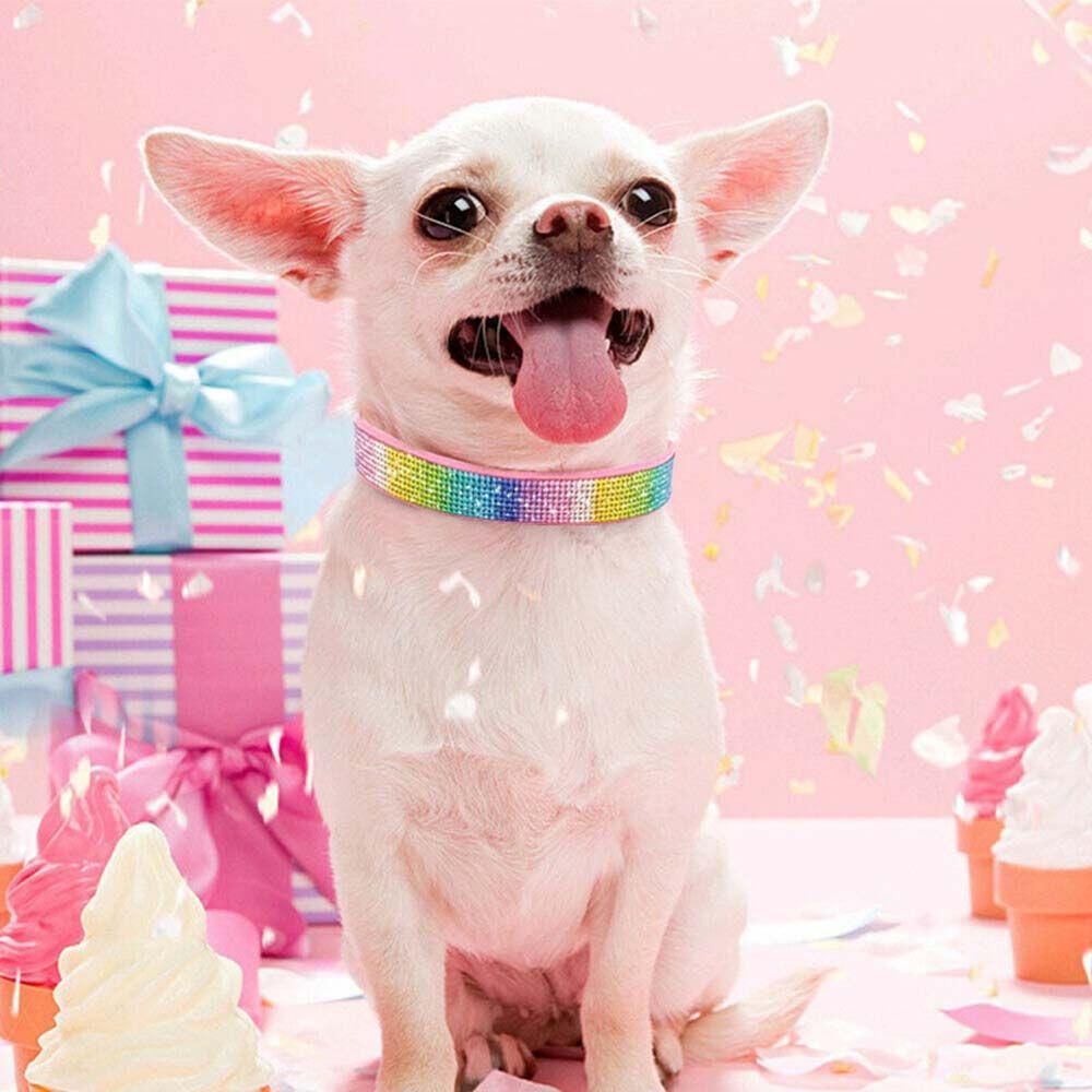 Vòng Cổ Chó AUGUSTINA|Phụ Kiện Cho Thú Cưng Chihuahua Dễ Dàng Điều Chỉnh