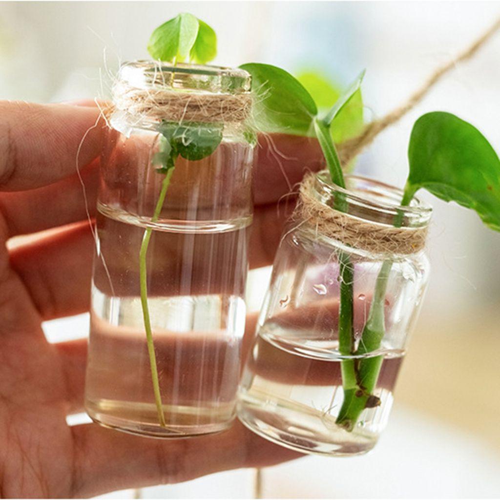Bình Thủy Tinh Trồng Cây Thủy Canh Mini Kèm Chuông Gió Sáng Tạo Dùng Làm Đạo Cụ Chụp Ảnh