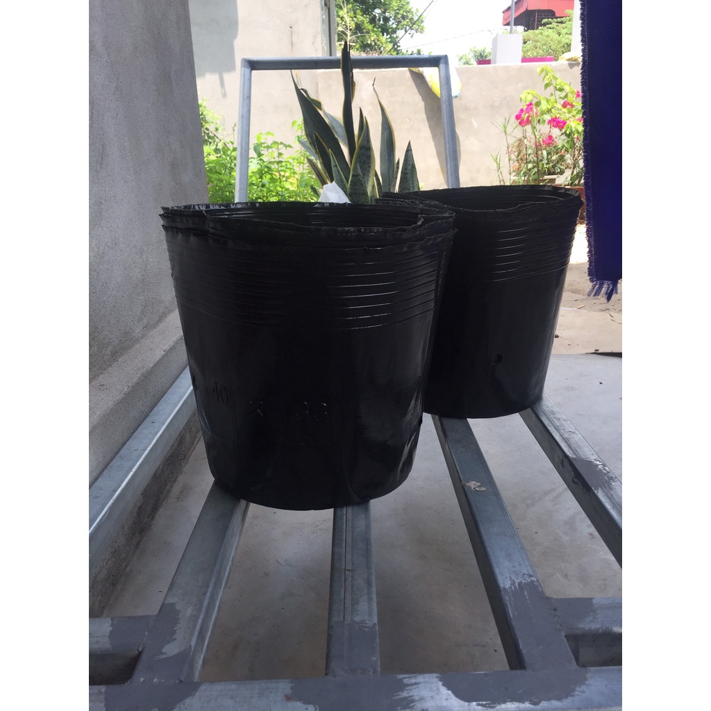 BẦU ƯƠM CÂY 40*33 ( DỊCH TRUYỀN CHO CÂY, KÍCH RỄ , MẦM CÂY XANH LÁ, LƯỚI CHE NẮNG...)