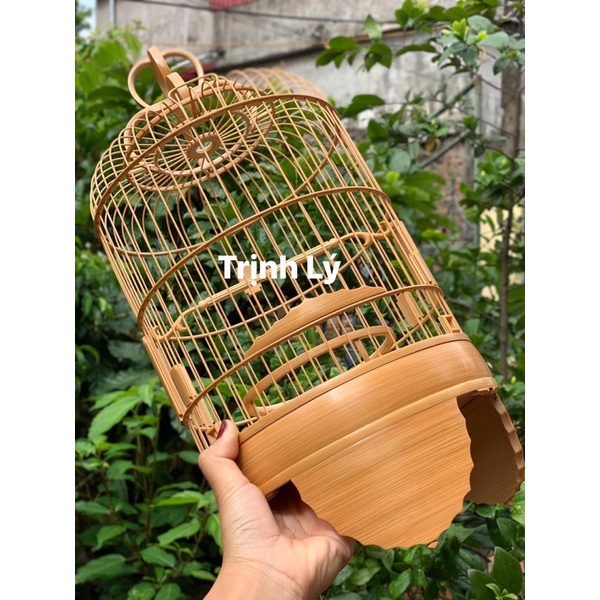 Lồng khuyên trơn. chân lá đề ngược size 22,5