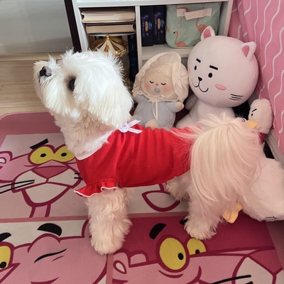 Áo vai bèo đỏ nơ trắng dành cho thú cưng