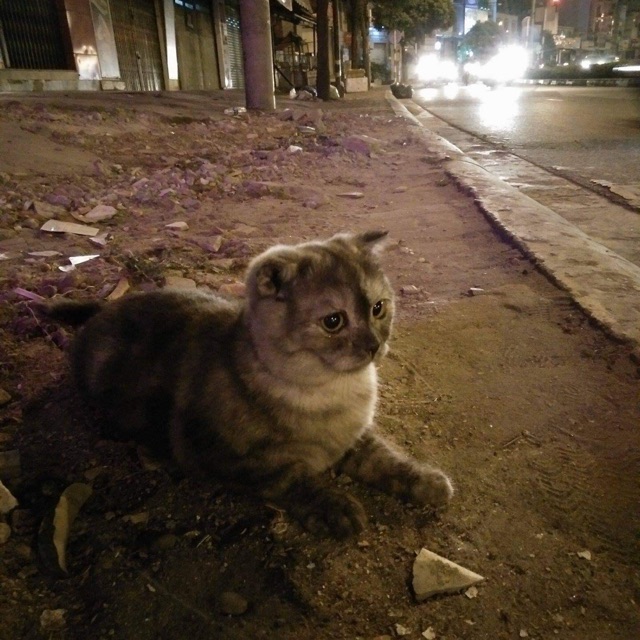 Thuyhe01512