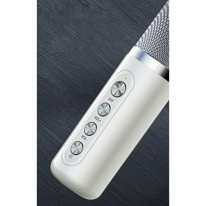 Loa bluetooth karaoke di động kèm 2 micro không dây